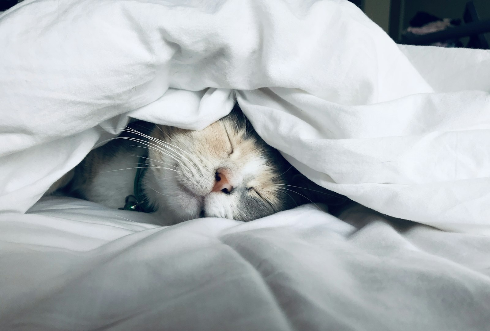 Overnight Care